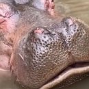 안하마을 이미지