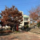 (주)세빈고속관광 | 청주 스타로니아 카페 체코 굴뚝빵 수암골 제빵왕 김탁구 전망대 일몰 후기