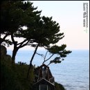 해운대석각 이미지