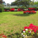 한마음파크장 이미지