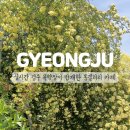 밍밍갤러리 이미지