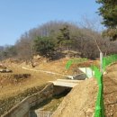 새벽농장 이미지