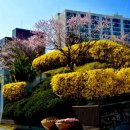 동해시청 이미지