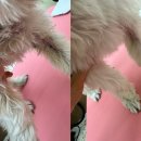 미닝데이