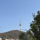 순종철판동태찜 | 서울/ 후암동] 서울역 해물 철판찜 동태찜 남산 근처 맛집 '월순철판동태찜 용산후암점' 내돈내산 솔직후기