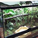 (주)그린펫 이미지