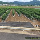 덕천주유소 이미지