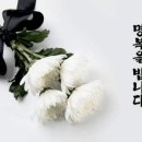 빛살 , 울림 B | 김남조 시인 별세