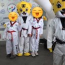 신라체육관(태권도) 이미지