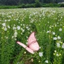 으뜸2농장 이미지