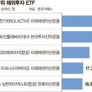 ‘순자산 1조’ 공룡 ETF 15개… 해외테마형에 돈 몰린다 이미지