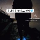 올해 서해바다에 다시 등장한 야광충(발광플랑크톤) 이미지