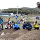 대촌농장 이미지