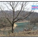 전국구공인중개사사무소 이미지