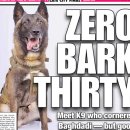 도날드 도그(Dog) 이미지