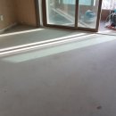 용호 소프트 이미지