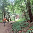 양재시민의 숲 3번출구 이미지