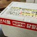 태양수산유통 네이버블로그