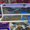 석호수산식당 이미지