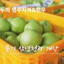 풍기청과 네이버블로그