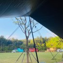 태화연 야영장 1 이미지