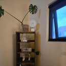 애월화룸 | 제주 애월 1인 숙소 애월화룸 재방문 내돈내산 후기(A룸, C룸)