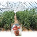 달성농장 이미지