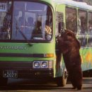 자연농원 이미지