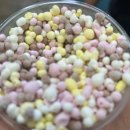 3849꼬마김밥속초점 이미지