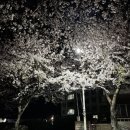 호근서호로 이미지