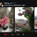 우아하고 싶지만 현실은 엉망진창