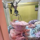 뽑기 FLEX 이미지