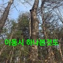 상황버섯 산행.265 (선물도착) 이미지