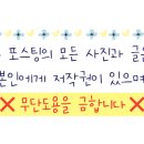 재송2동-19 이미지