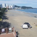 뽀독뽀독 이미지