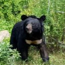 정산농장 이미지