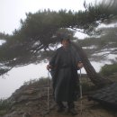 강상 이미지