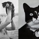 오스카(OSCAR) 이미지