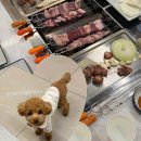 쌈채우리 | 남양주 금남리 맛집 애견동반 가능한 식당 오리덕 내돈내산 후기