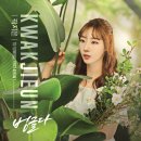 벙글다 Daum카페