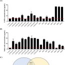 Re: 녹용의 효과, 추출법&#39; 탐구....녹용 발효를 위해!! 2022 이미지