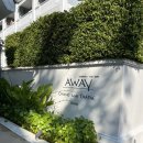 모어가닉 이미지