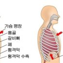 피지오스 이미지