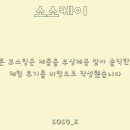 정등에너지 | 포아크네 이소틴정 후기 유분 관리 루틴 기록