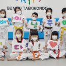 용인대범호태권도장 이미지