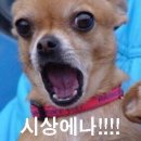 투고샐러드덕성여대점 이미지