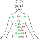 부항뜨는위치 이미지