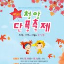 철암장터 이미지