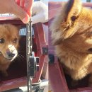 태광중기공업사 이미지