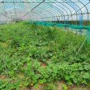 권관농장 이미지